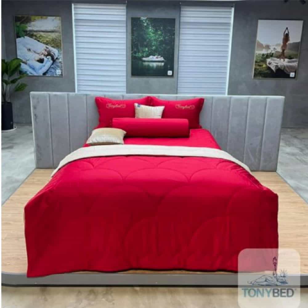 BỘ DRAP CAO CẤP TONYBED 160X200 - MILAN TENCEL MÀU