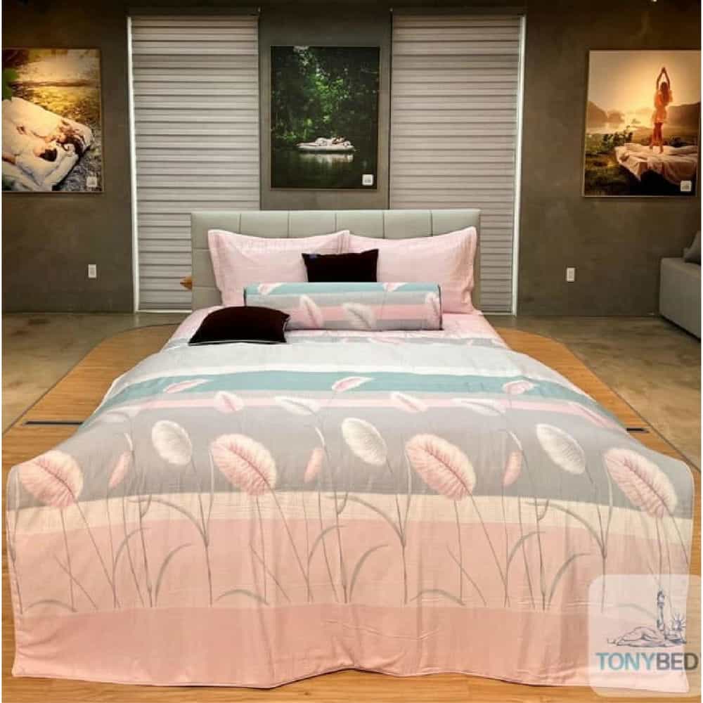 BỘ DRAP CAO CẤP TONYBED 200X200 - DREAM TENCEL BÔNG