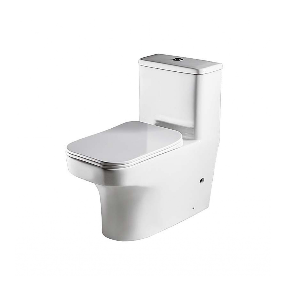 BỒN CẦU MỘT KHỐI BRAVAT C21122UW-3-VN MÀU TRẮNG HIỆN ĐẠI