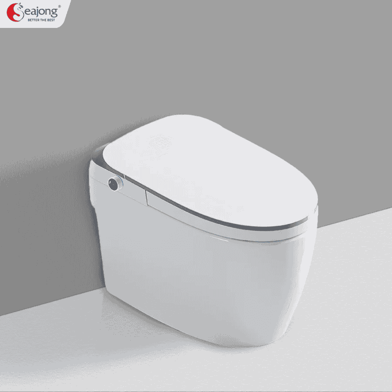 BỒN CẦU THÔNG MINH ĐA CHỨC NĂNG SEAJONG SJ-TL0107S