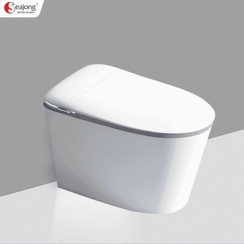 BỒN CẦU THÔNG MINH ĐA CHỨC NĂNG SEAJONG SJ-TLT105SFDUV