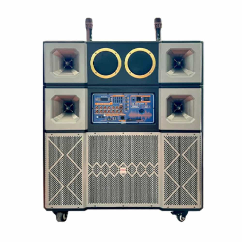 LOA DI ĐỘNG HYLEX 2 TẤC PA30ES - KÈM 02 MICRO KHÔNG DÂY CAO CẤP