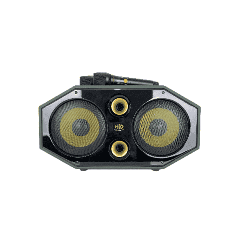 LOA DI ĐỘNG XÁCH TAY 2 TẤC HLD HK-458 (300W)