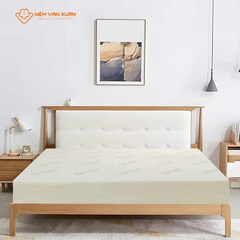 NỆM CAO SU NON VẠN XUÂN COSY DREAM 120X200X10