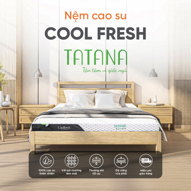 NỆM CAO SU THIÊN NHIÊN TATANA COOL FRESH 220X200X15