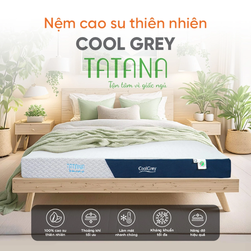 NỆM CAO SU THIÊN NHIÊN THAN HOẠT TÍNH TATANA COOL GREY 160X200X20