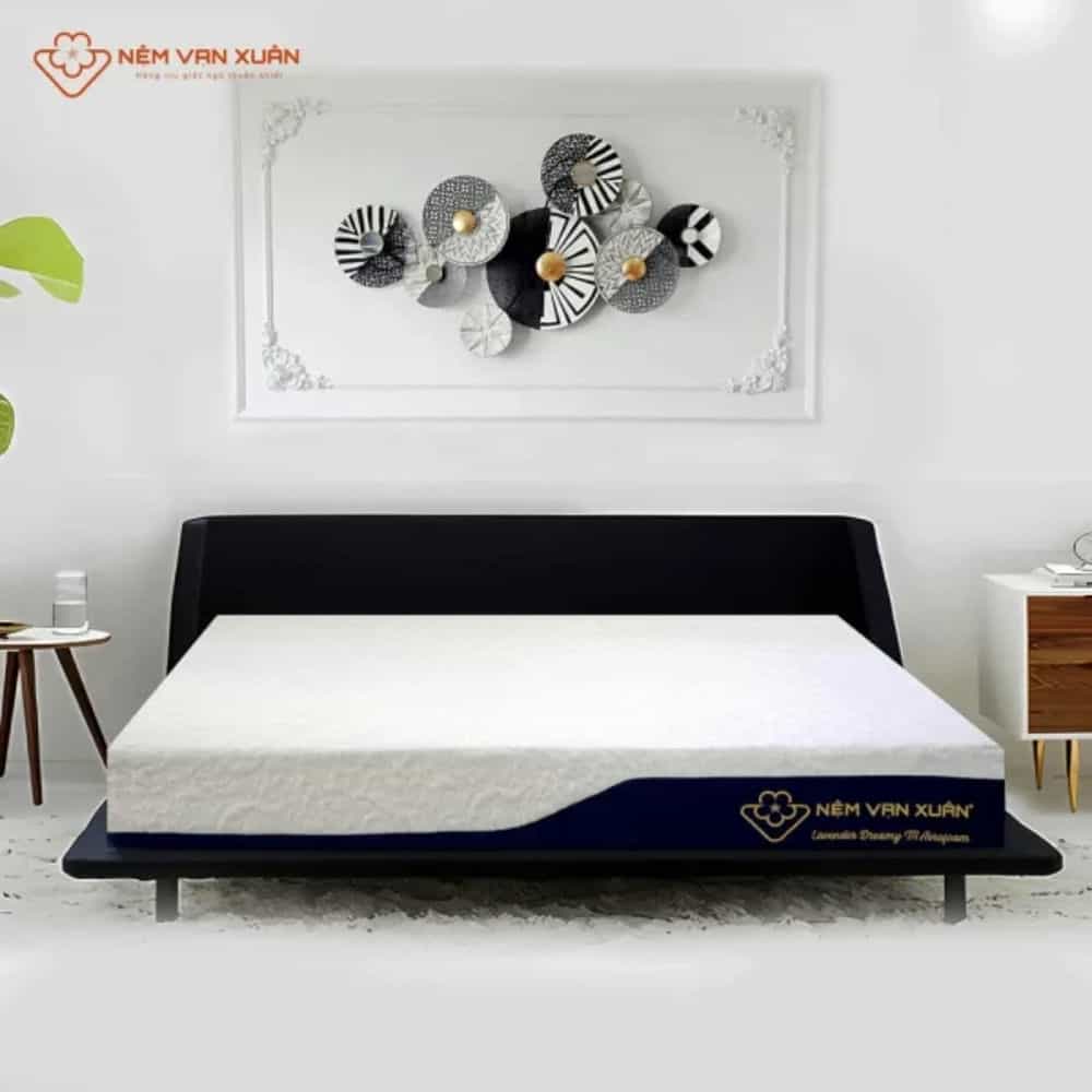 NỆM FOAM MASSAGE VẠN XUÂN LAVENDER DREAMY 120X200X25