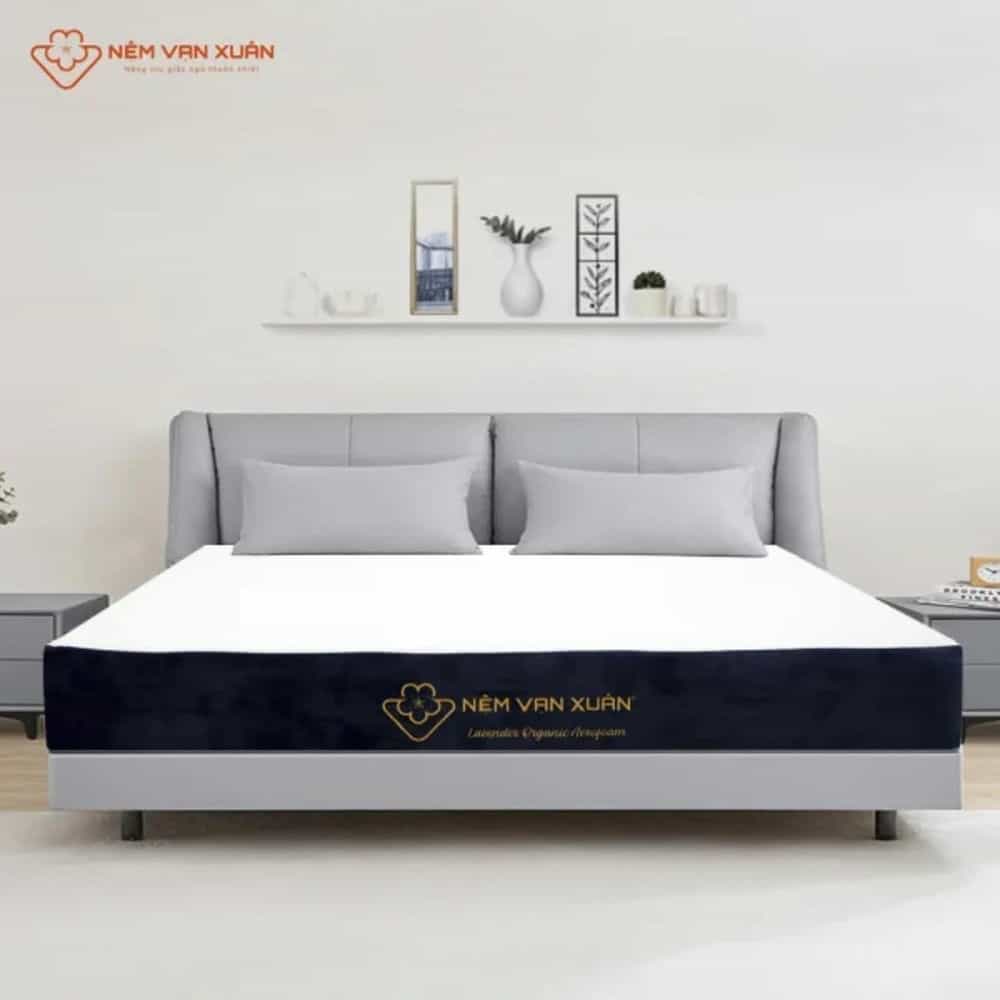 NỆM FOAM TRÀ XANH VẠN XUÂN LAVENDER ORGANIC 220X200X25