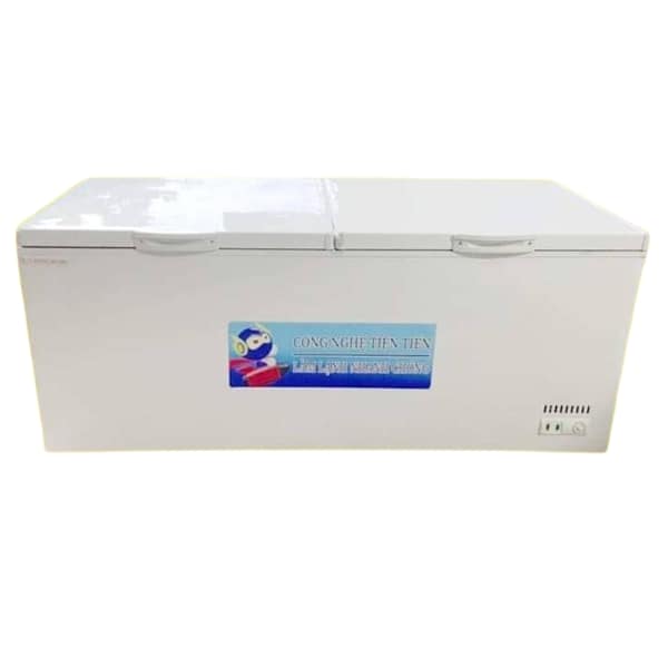 TỦ ĐÔNG 2 CÁNH 1050 LÍT CLASSIC WORK TDNK-2000 (ĐỒNG) (R290)