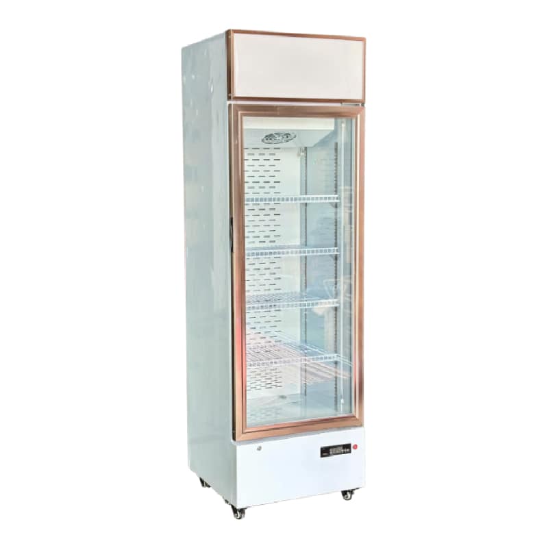 TỦ MÁT 1 CÁNH LIGHTCOOL 328 LÍT LC-328F(WH) QUẠT GIÓ (R290A)