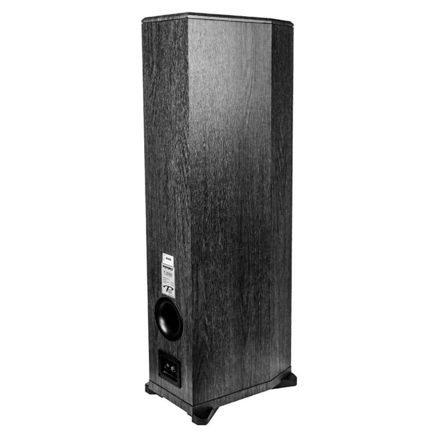 LOA ĐỨNG KARAOKE PARAMAX F-1000 (220W)