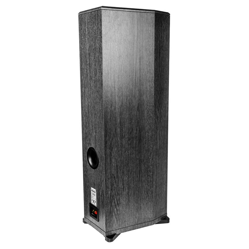 LOA ĐỨNG KARAOKE PARAMAX F-2000 (250W)