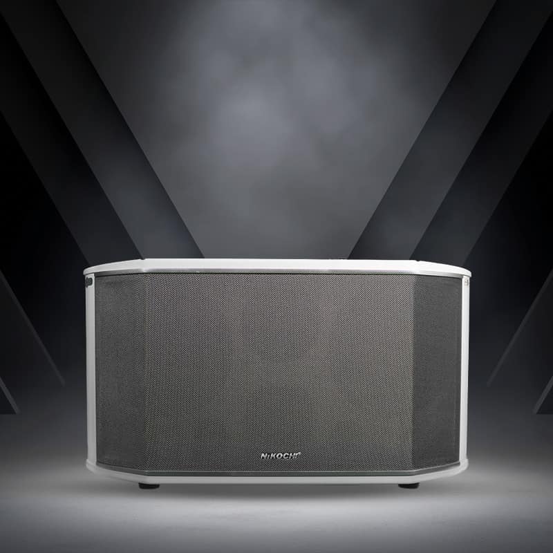 LOA KARAOKE BLUETOOTH NICHIKO H1 (250W)