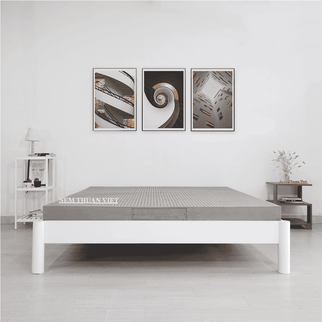 NỆM CAO SU HOẠT TÍNH THUẦN VIỆT TITAN GREY 220X200X20CM