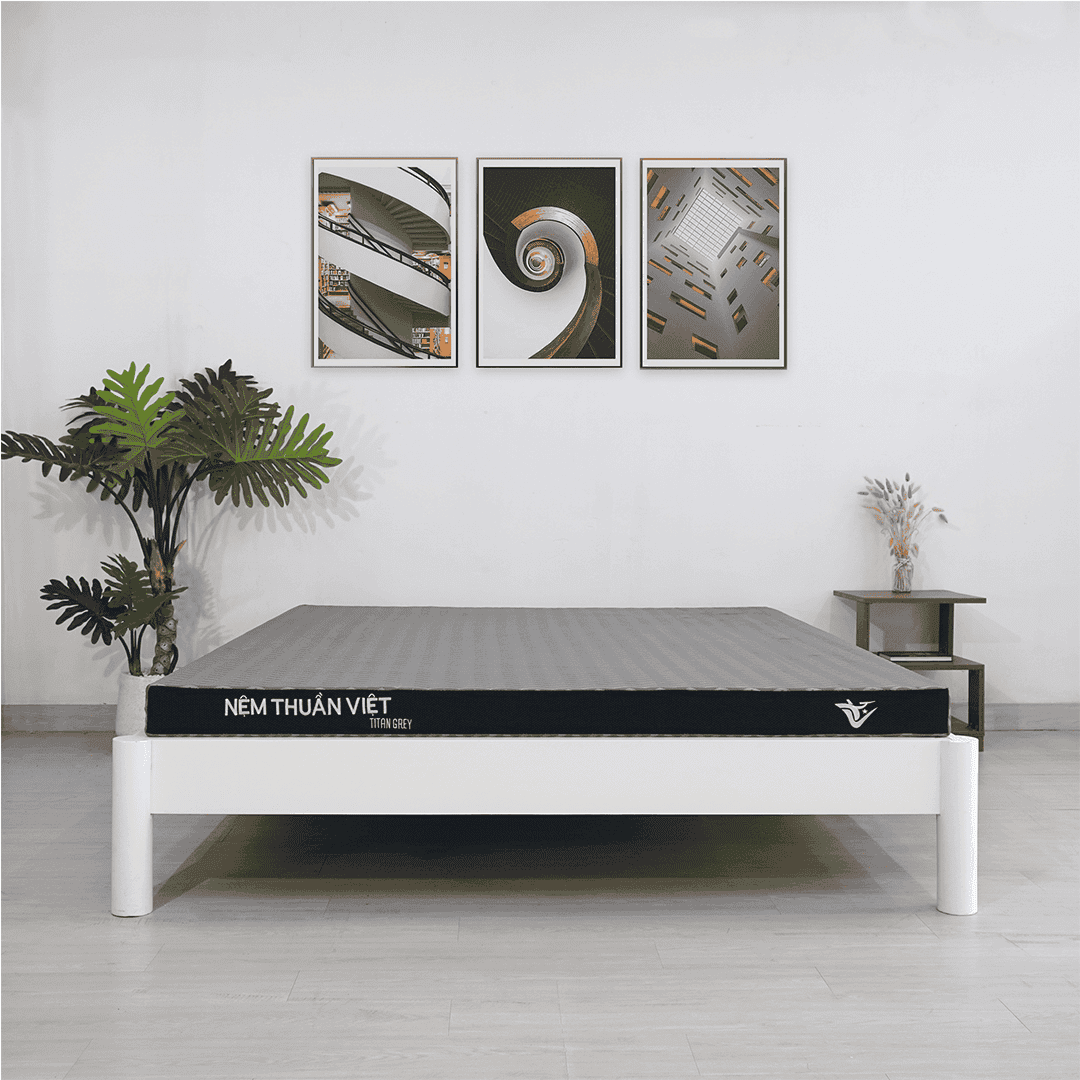 NỆM CAO SU HOẠT TÍNH THUẦN VIỆT TITAN GREY 220X200X20CM