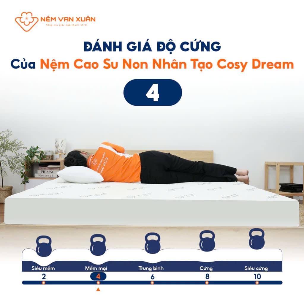 NỆM CAO SU NON VẠN XUÂN COSY DREAM 120X200X10