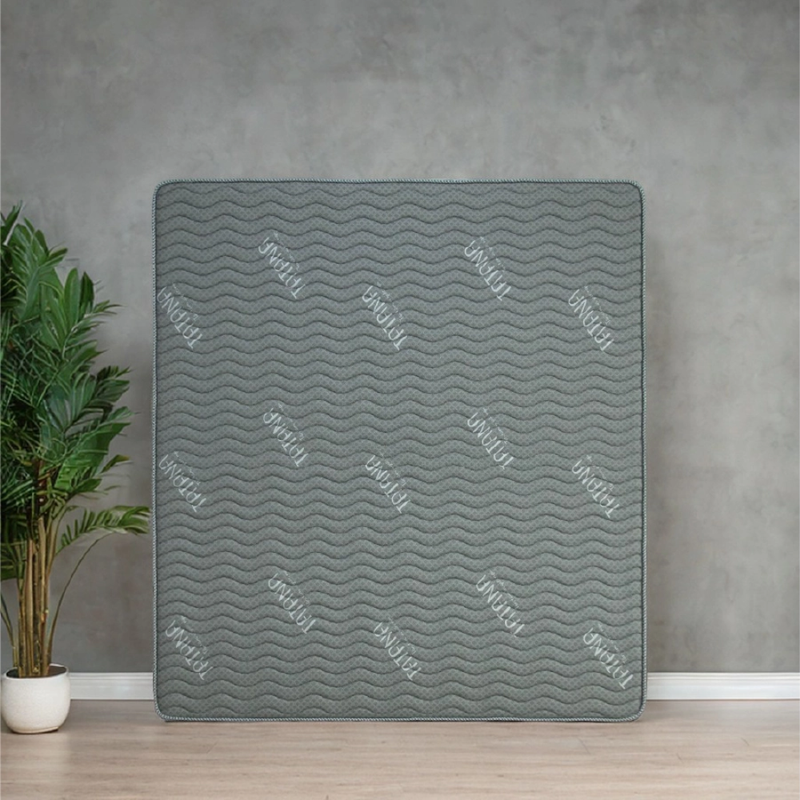 NỆM CAO SU TỔNG HỢP TATANA GẤM LẠNH 160X200X17 THẲNG