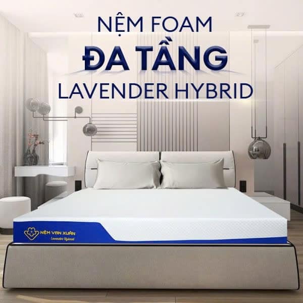 NỆM FOAM ĐA TẦNG VẠN XUÂN LAVENDER ORGANIC 220X200X20