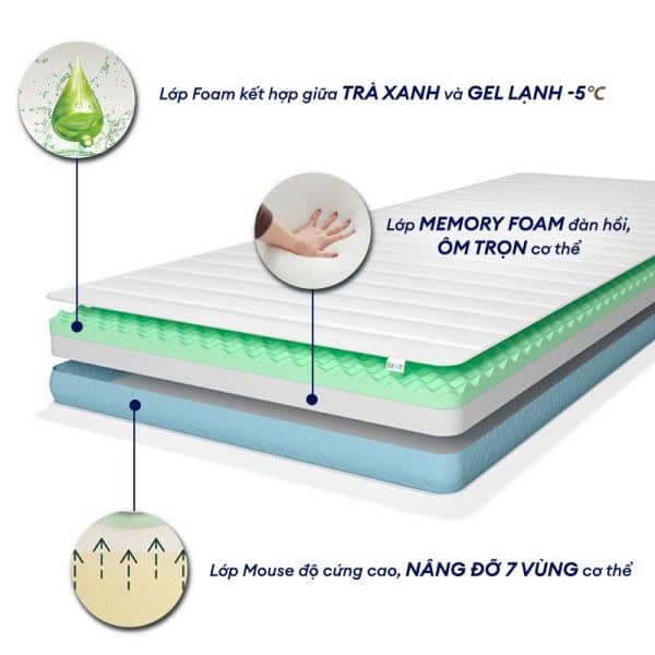NỆM FOAM ĐA TẦNG VẠN XUÂN LAVENDER ORGANIC 220X200X20