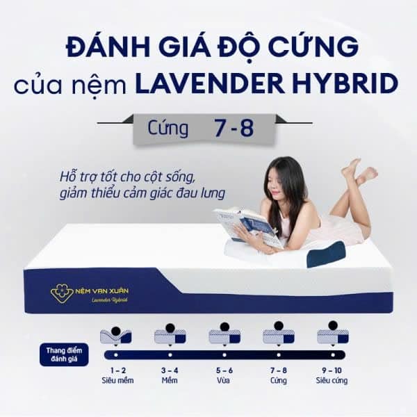 NỆM FOAM ĐA TẦNG VẠN XUÂN LAVENDER ORGANIC 220X200X20