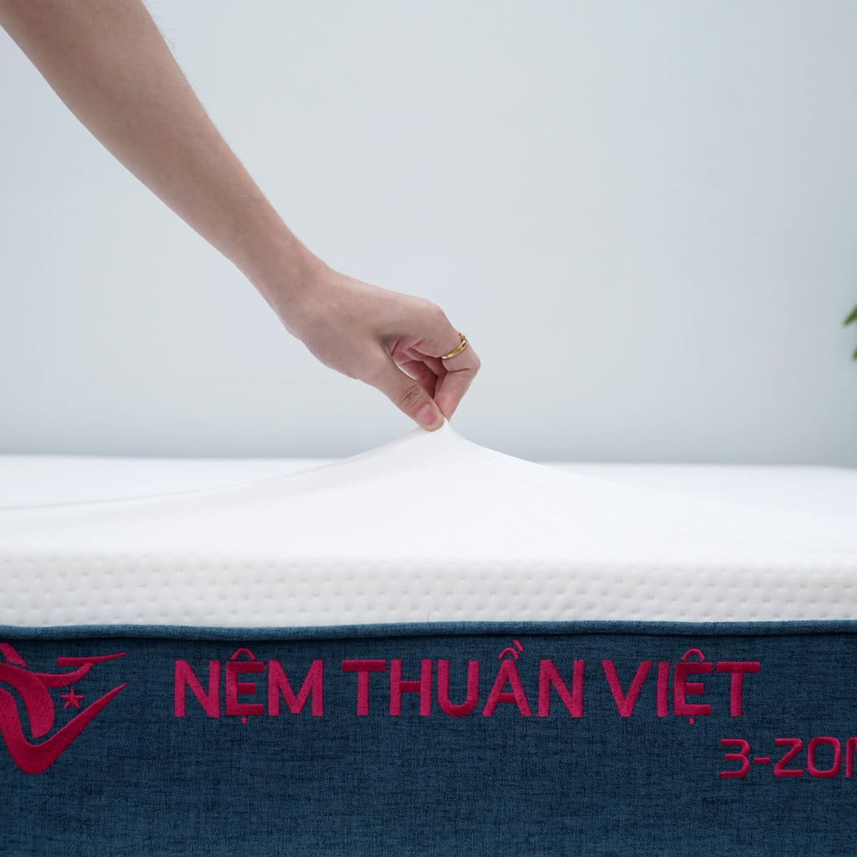 NỆM FOAM PHÂN VÙNG THUẦN VIỆT 3'ZONE 220X220X12CM