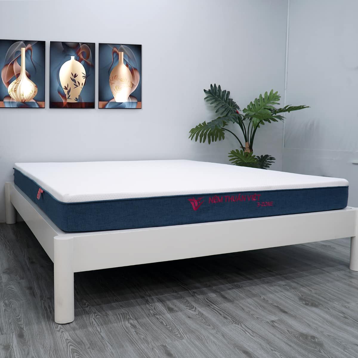 NỆM FOAM PHÂN VÙNG THUẦN VIỆT 3'ZONE 220X220X12CM