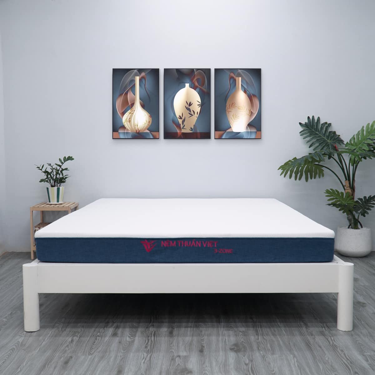 NỆM FOAM PHÂN VÙNG THUẦN VIỆT 3'ZONE 220X220X12CM
