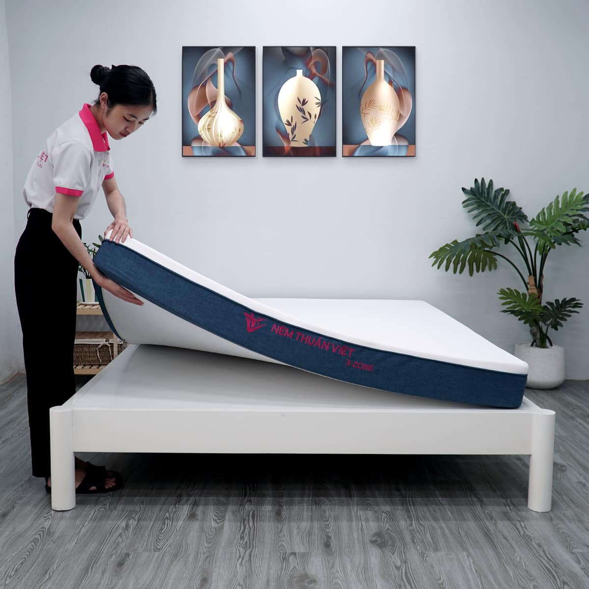 NỆM FOAM PHÂN VÙNG THUẦN VIỆT 3'ZONE 220X220X17CM