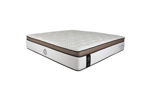 NỆM LÒ XO TLS-ASIA CORERHYTHM 352-100X200X35