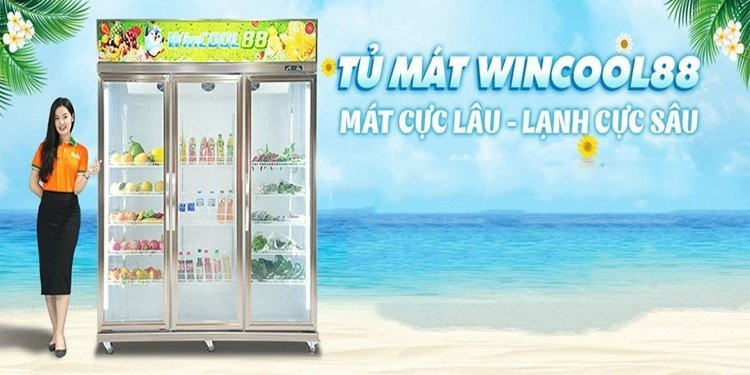 ❄ ❄ Tủ mát Wincool - Giữ tươi ngon mọi thực phẩm ❄ ❄