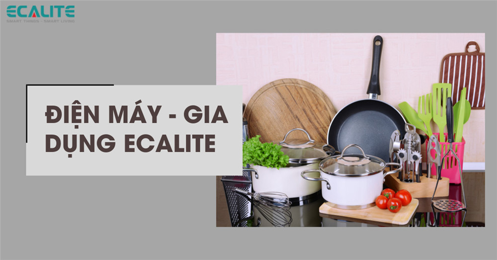 🎉 Chào mừng bạn đến với thương hiệu ECALITE! 🎉