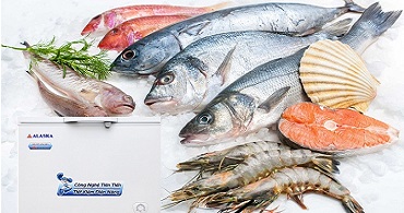 Đại lý phân phối Tủ Mát Alaska giá rẻ nhất HCM