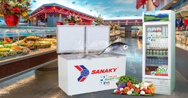 Giá tủ đông Sanaky 6699hy3 bao nhiêu tiền?