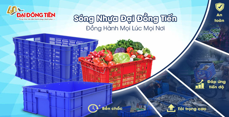 🎉Nhựa Đại Đồng Tiến - Giải pháp hoàn hảo cho nhu cầu của bạn!🎉