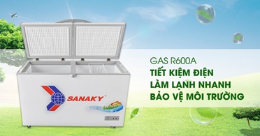 Tại sao nên lựa chọn tủ đông Sanaky 4099w1?