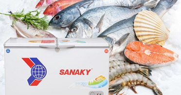 Thông tin chi tiết về tủ đông Sanaky 3699w1