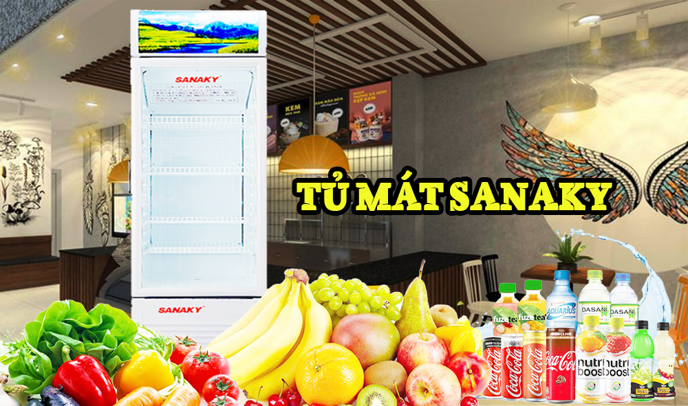Tìm hiểu cấu tạo của tủ mát Sanaky 408k