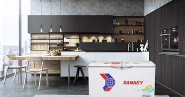 Tính năng của tủ đông Sanaky 3699w1 loại lớn
