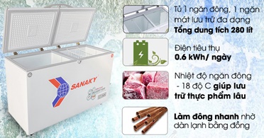 Tủ đông Sanaky 4099w3- Giải pháp trữ đông và lạnh hiệu quả