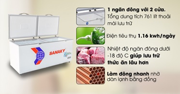 Tủ đông Sanaky 8699hy3 inverter- Giải pháp tiết kiệm điện năng
