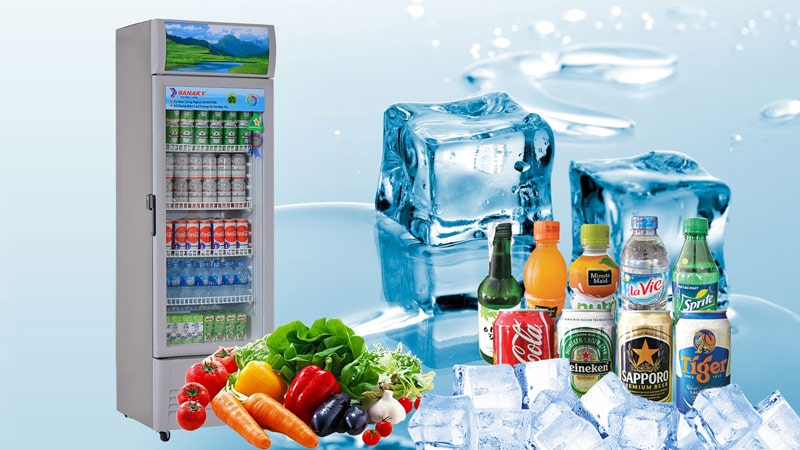 Tư vấn: Có nên mua tủ mát Sanaky 308k không?