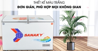 Tư vấn mua tủ đông sanaky 3699w1