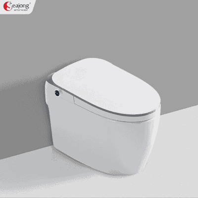 BỒN CẦU THÔNG MINH ĐA CHỨC NĂNG SEAJONG SJ-TL0107S