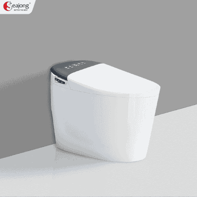 BỒN CẦU THÔNG MINH ĐA CHỨC NĂNG SEAJONG SJ-TL0111S