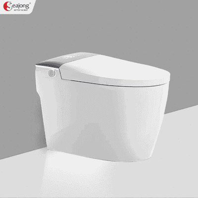 BỒN CẦU THÔNG MINH ĐA CHỨC NĂNG SEAJONG SJ-TLT103SFDUV