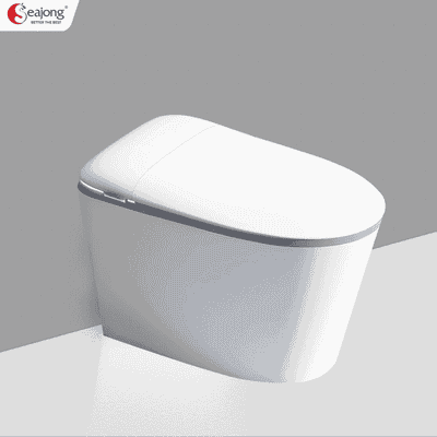 BỒN CẦU THÔNG MINH ĐA CHỨC NĂNG SEAJONG SJ-TLT105SFDUV