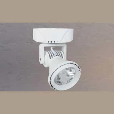 COMBO 2 ĐÈN LED COB CHIẾU ĐIỂM NETVIET NP 06A-110