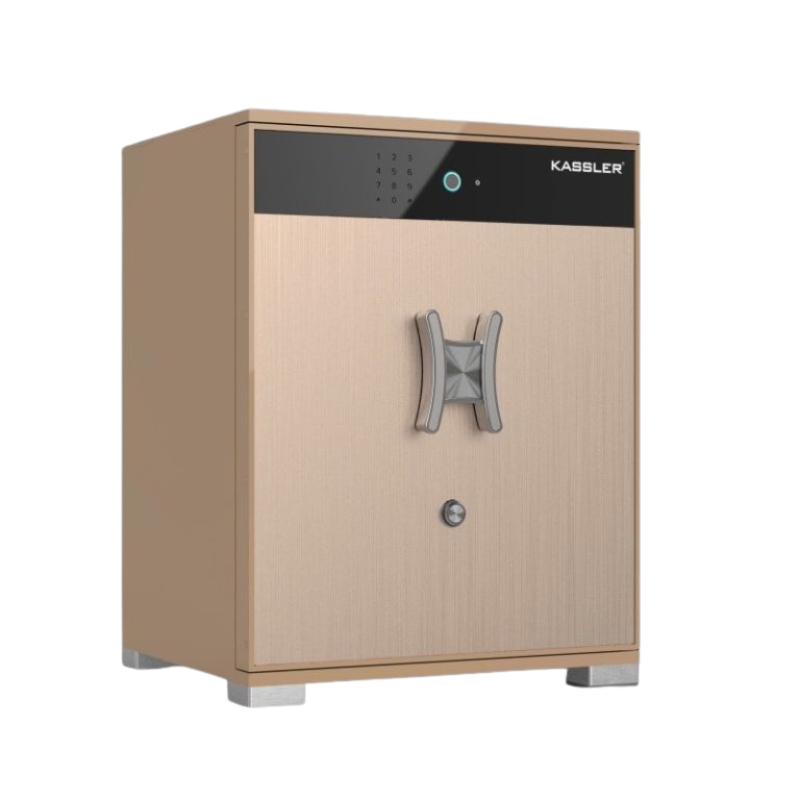 KÉT THÔNG MINH CHỐNG CHÁY 0.65M KASSLER KL-55LS7 GOLD SAND
