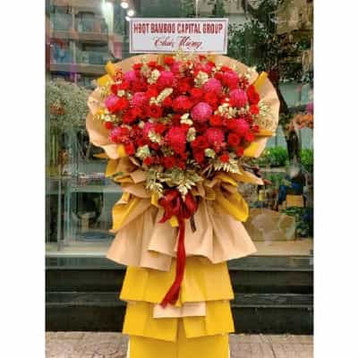 lẳng hoa chúc mừng jf jfkcm003 (freeship hcm)