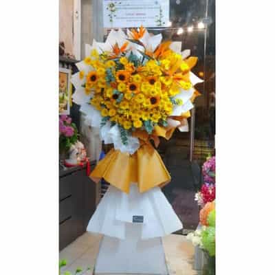 lẳng hoa chúc mừng jf jfkcm029 (freeship hcm)